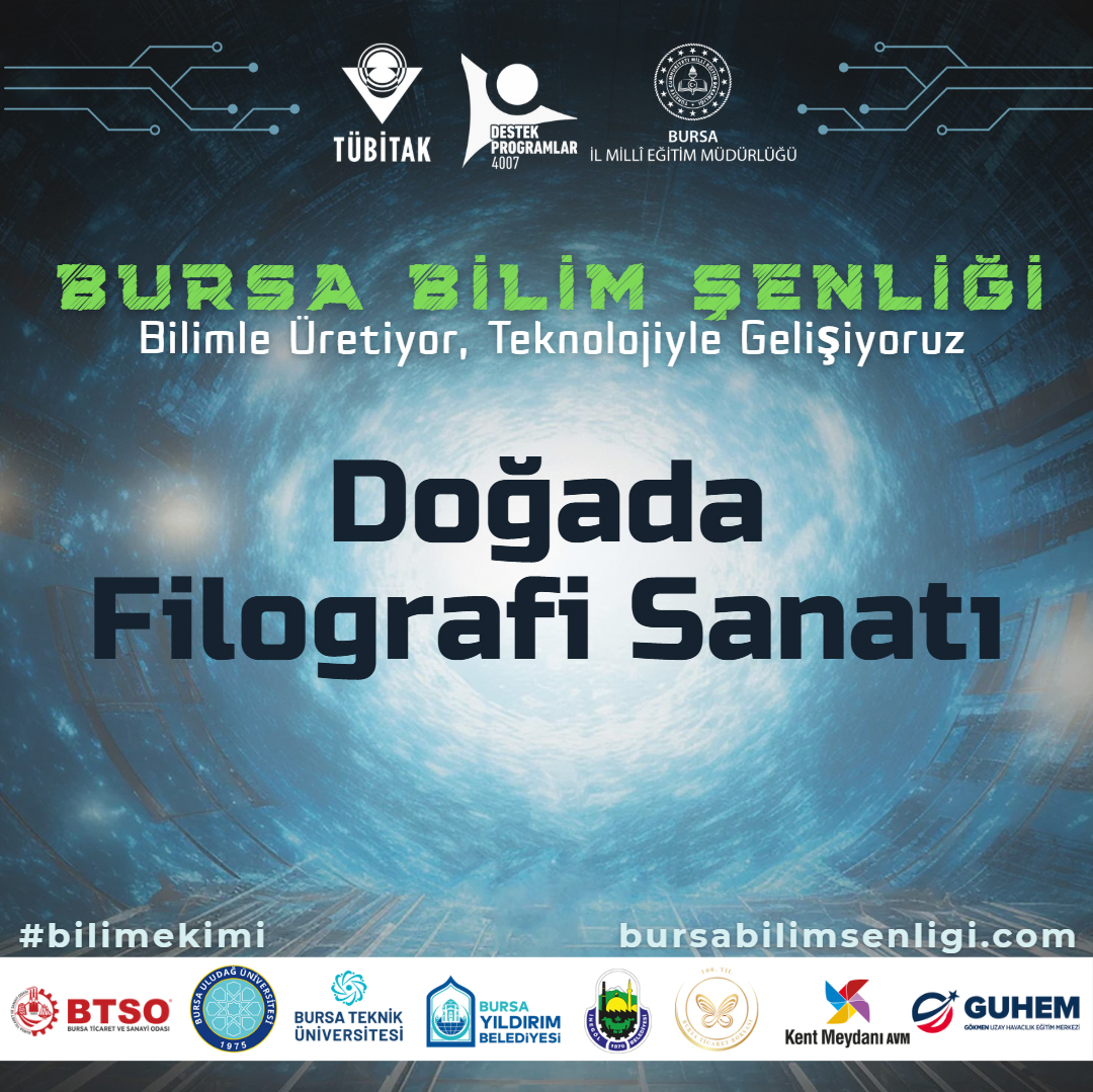 Doğada Filografi Sanatı