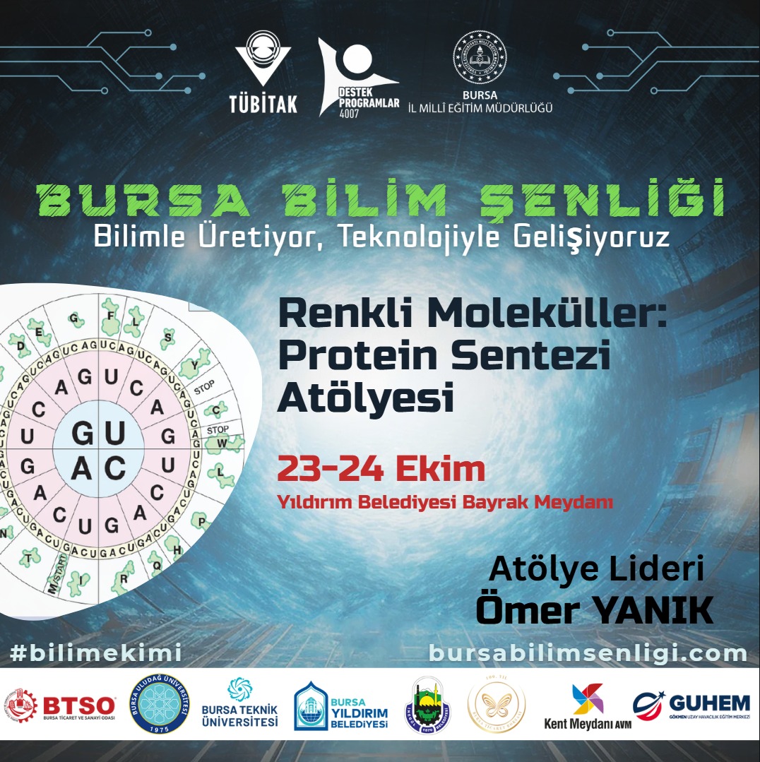 Renkli Moleküller: Protein Sentezi Atölyesi